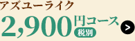 アズユーライク2,800円コース