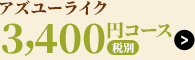 アズユーライク3,300円コース