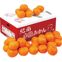 和歌山県産　紀南木熟みかん（５ｋｇ）