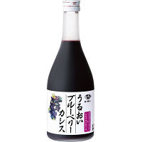 山田養蜂場　うるおいブルーベリーカシス