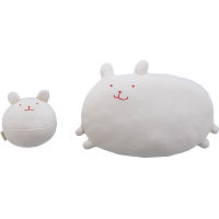 オーガニック　枕×ボールセット