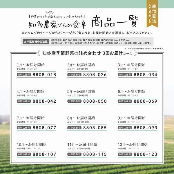 産地直送・野菜カタログギフト　知多農家さんの食卓　３回お届けコース　送料無料のサムネイル画像1