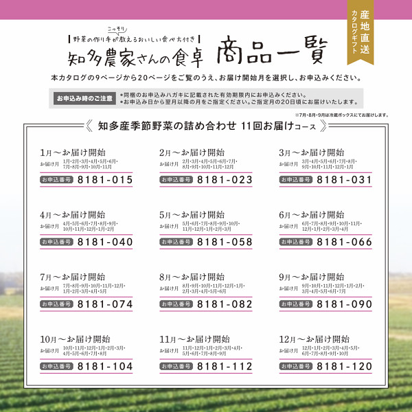 産地直送・野菜カタログギフト　知多農家さんの食卓　１１回お届けコース　送料無料のサムネイル画像1
