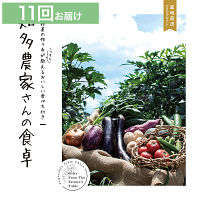 産地直送・野菜カタログギフト　知多農家さんの食卓　１１回お届けコース　送料無料