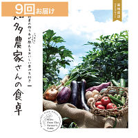 産地直送・野菜カタログギフト　知多農家さんの食卓　９回お届けコース　送料無料