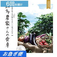 産地直送・野菜カタログギフト　知多農家さんの食卓　６回お届けコース【お急ぎ便】