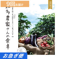 産地直送・野菜カタログギフト　知多農家さんの食卓　９回お届けコース【お急ぎ便】