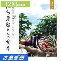 産地直送・野菜カタログギフト　知多農家さんの食卓　１２回お届けコース【お急ぎ便】