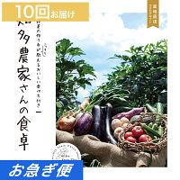 産地直送・野菜カタログギフト　知多農家さんの食卓　１０回お届けコース【お急ぎ便】