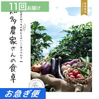 産地直送・野菜カタログギフト　知多農家さんの食卓　１１回お届けコース【お急ぎ便】