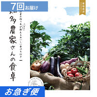 産地直送・野菜カタログギフト　知多農家さんの食卓　７回お届けコース【お急ぎ便】