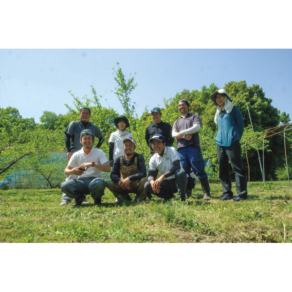 岡山県産　総社もも生産組合の桃（９００ｇ）のサムネイル画像1