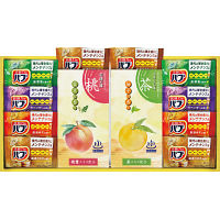 炭酸力の薬用入浴剤セット