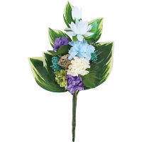 四季仏花