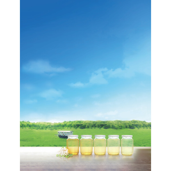 山田養蜂場　ＨＯＮＥＹ　ＬＯＶＥ　はちみつ紅茶（９包）のサムネイル画像1