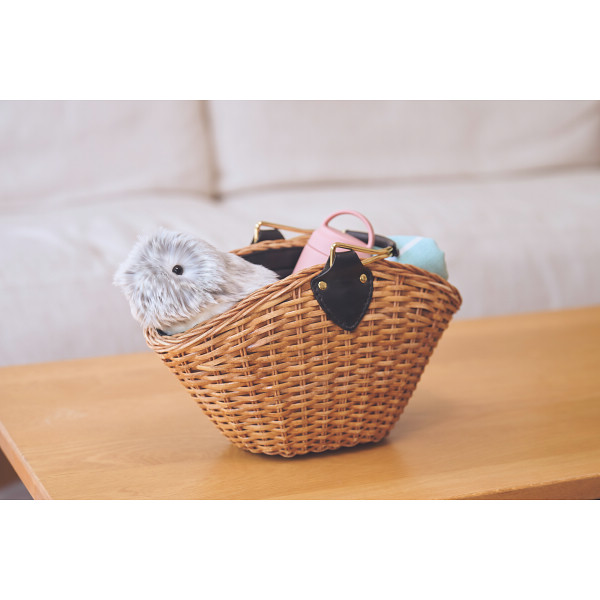 カシオ　モフリン シルバーのサムネイル画像6
