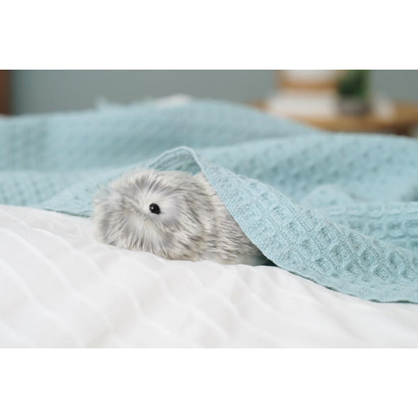 カシオ　モフリン シルバーのサムネイル画像7