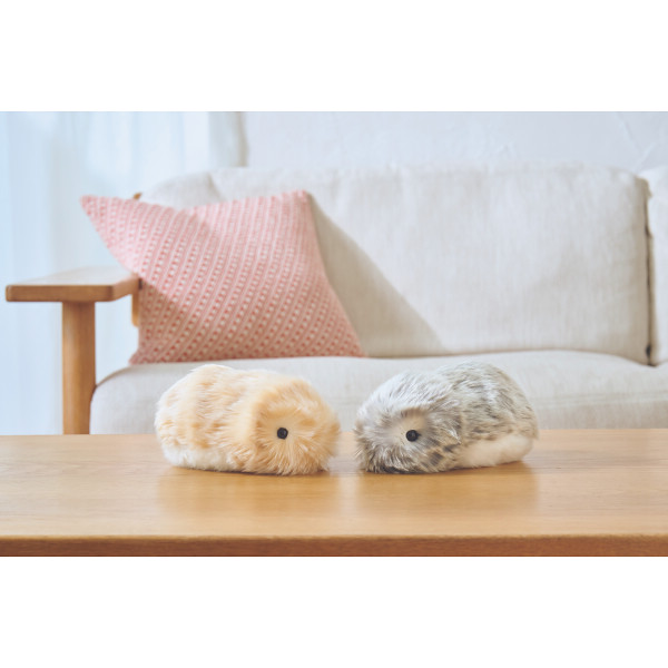 カシオ　モフリン ゴールドのサムネイル画像6