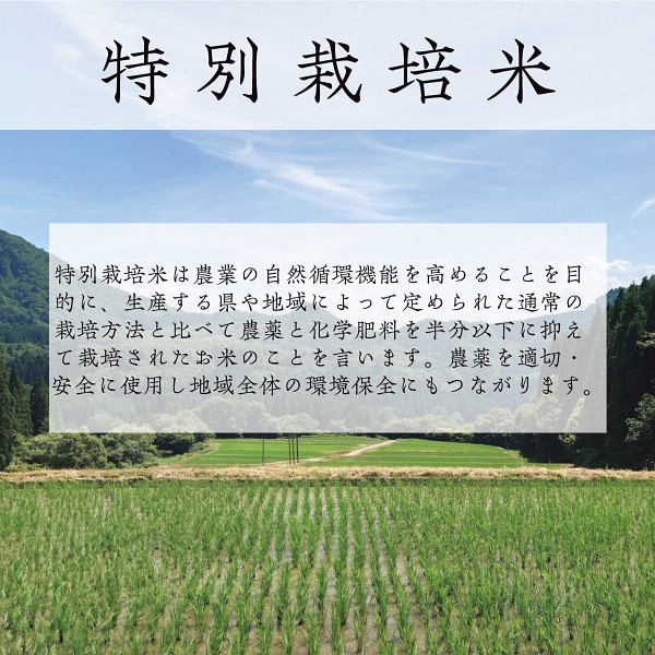 山形県置賜産　つや姫特別栽培５ｋｇのサムネイル画像4